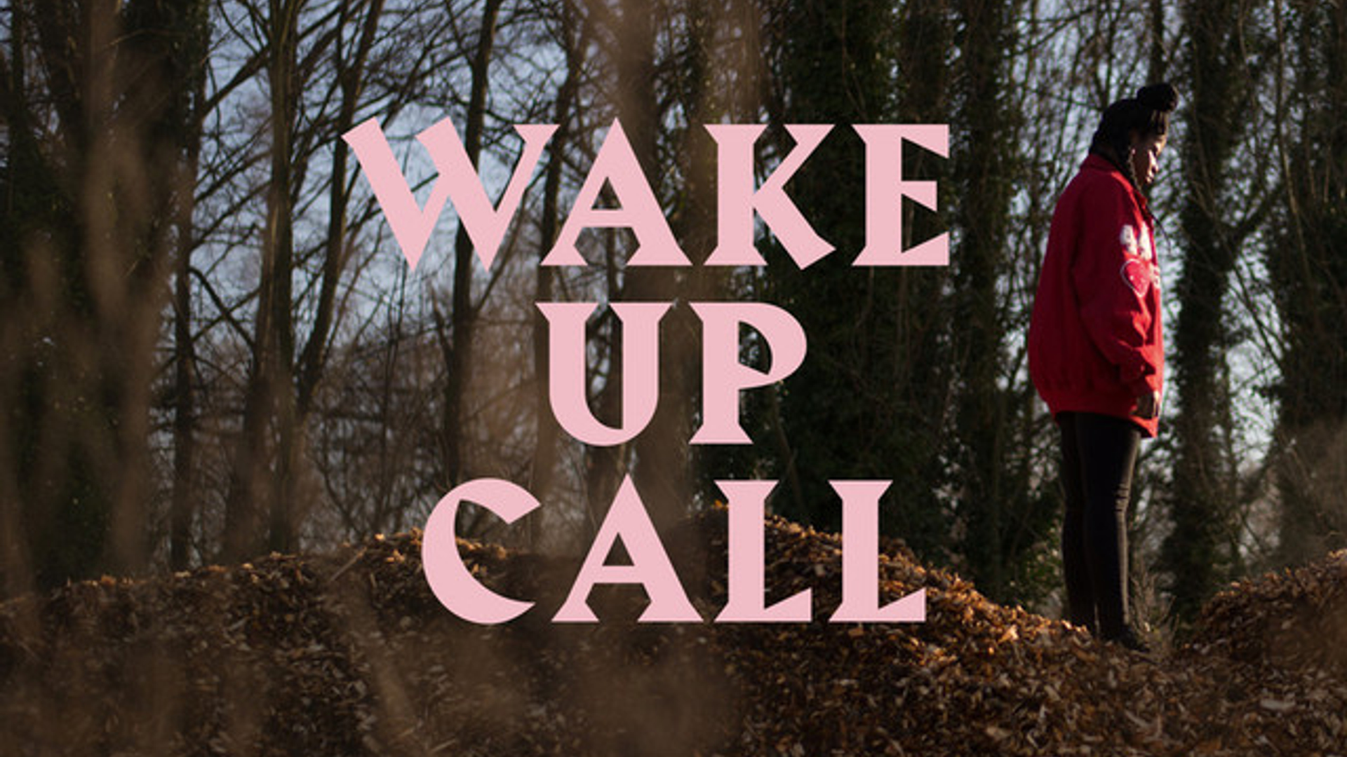 coely wake up call