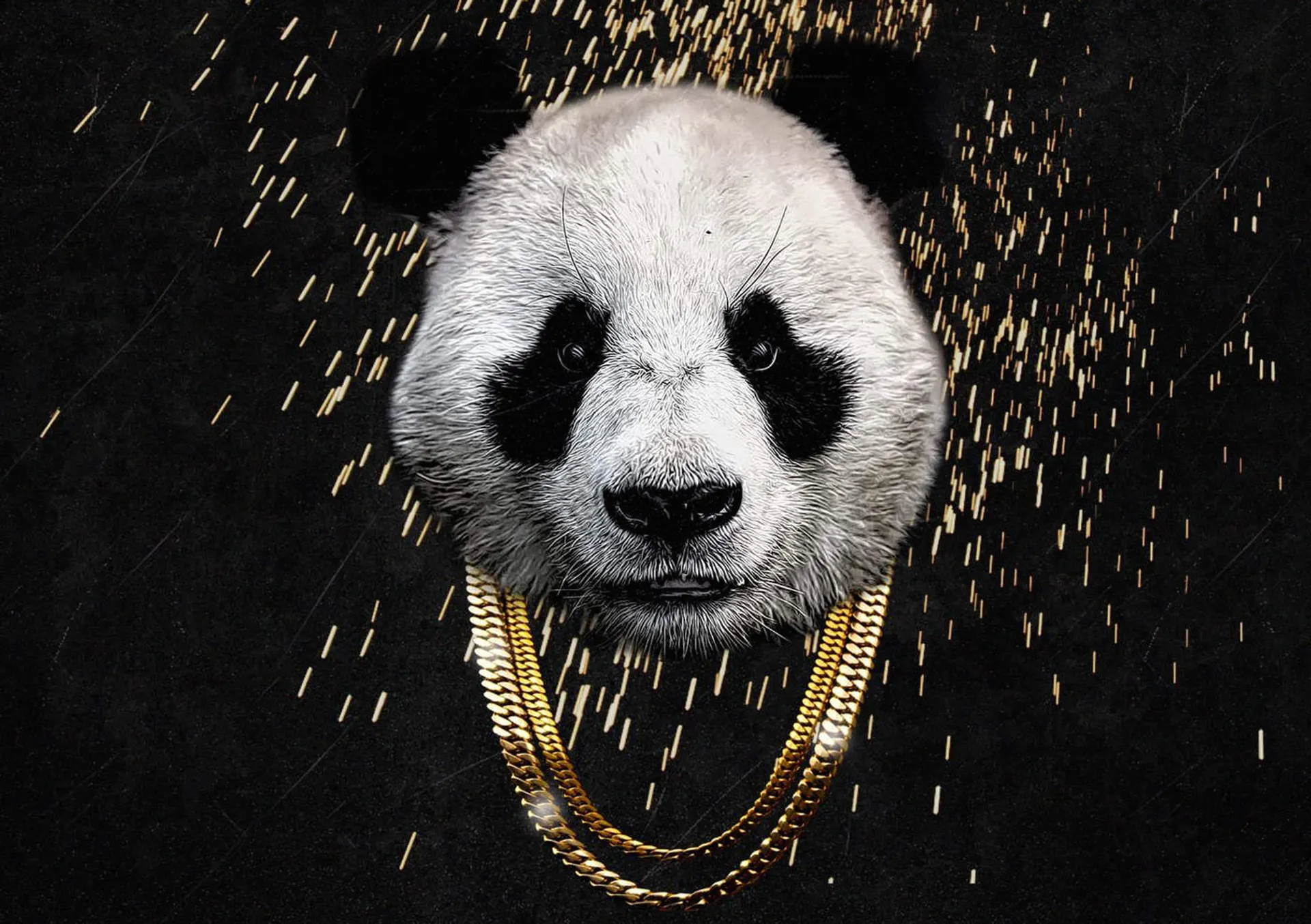 Afbeelding van 'Panda' van Desiigner is die hele pokoe