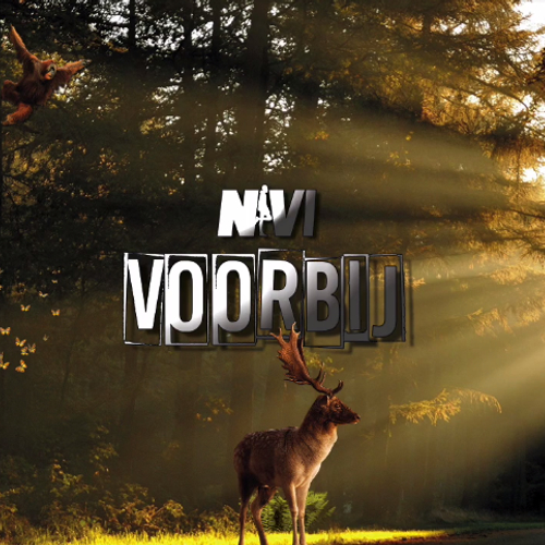 NIVI - Voorbij