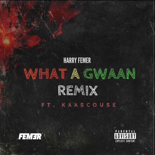 Harry Femer - What A Gaan (Remix) Ft. Kaascouse