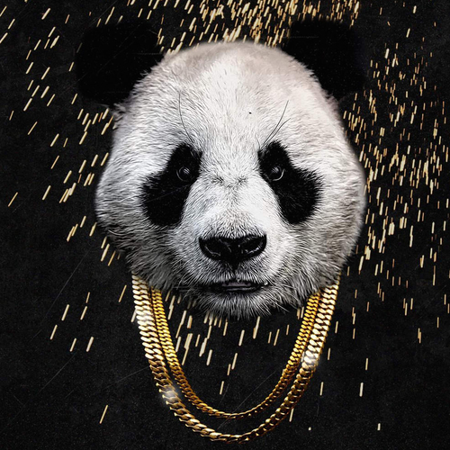 'Panda' van Desiigner is die hele pokoe